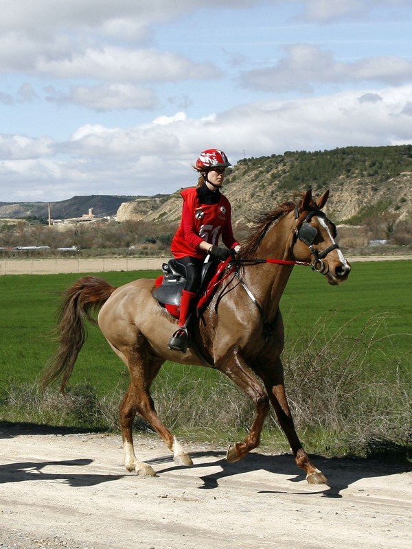 Clasificación Raid CEI*, CEN 0* y Promoción del 19 de marzo. La navarra Silvia Pérez de Zabalza gano el raid internacional CEI* celebrado en Figarol